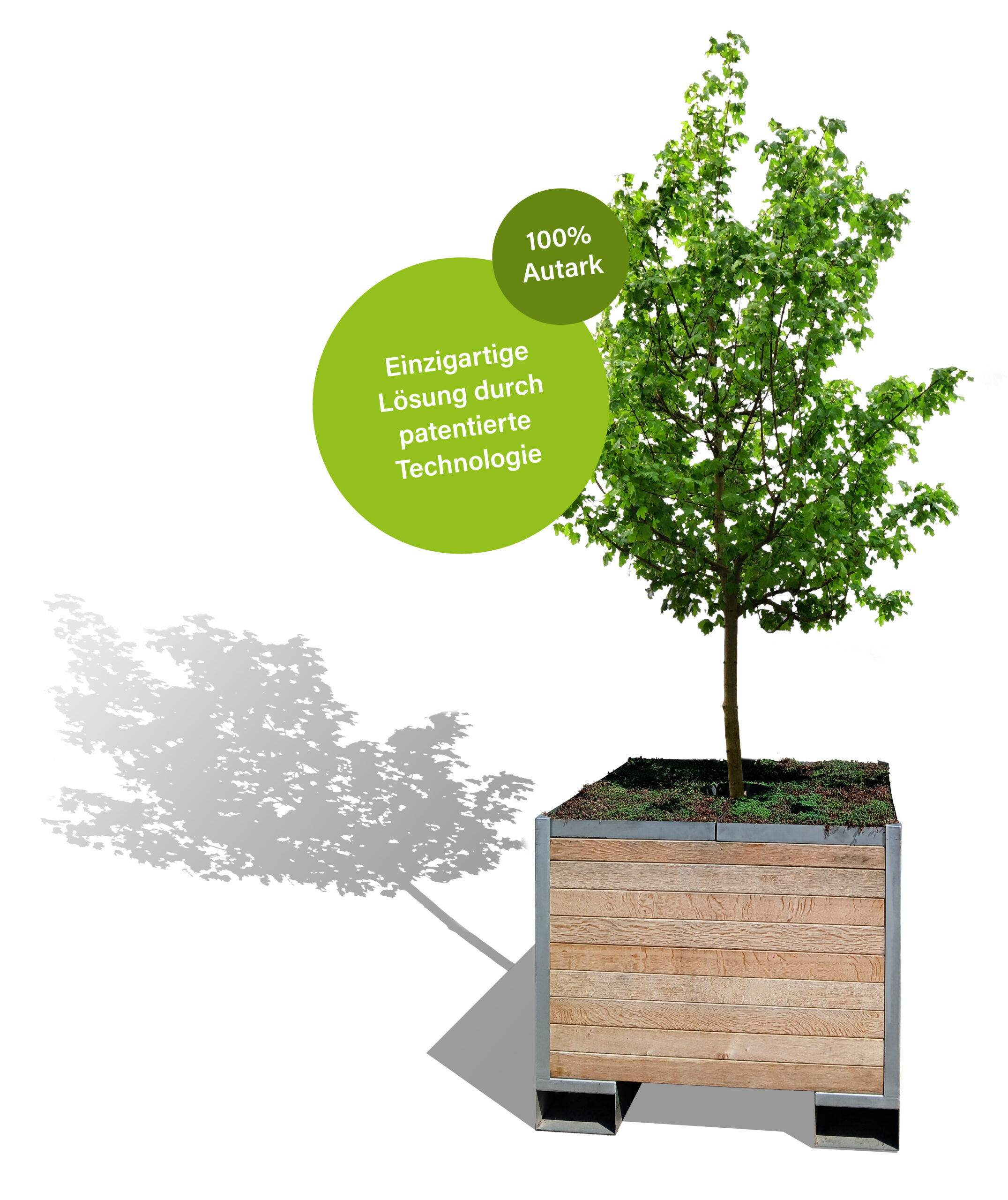 Der Aquifer Pot gefüllt mit Erde und Baum